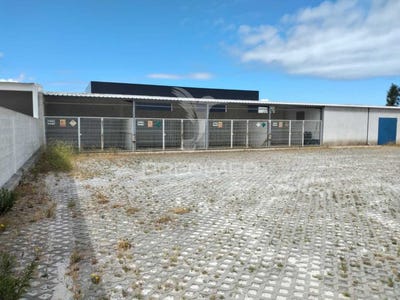 /international/pt/santo-andre-santiago-do-cacem-setubal-municipality-120092426065/