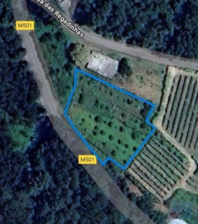 /international/pt/viana-do-castelo-viana-do-castelo-310097484560/