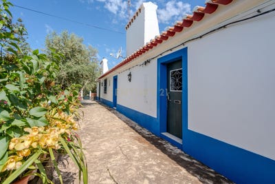 /international/pt/gredeira-borba-portugal-rio-de-moinhos-braga-310104287164/