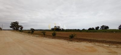 /international/pt/guia-leiria-310100953077/?lang=zh-tw