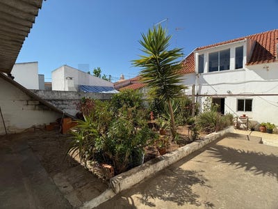 /international/pt/alvalade-setubal-municipality-310102893708/