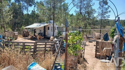 /international/pt/castelo-branco-braganca-310109234814/?lang=th