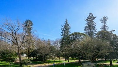 /international/pt/foz-do-douro-e-pinhais-da-foz-porto-310106488535/
