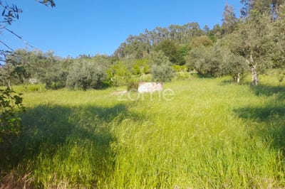 /international/pt/alvaiazere-leiria-120084239316/?lang=zh-cn