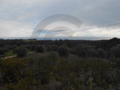 /international/pt/malhou-santarem-310099589713/