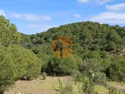 /international/pt/faro-faro-310096376277/