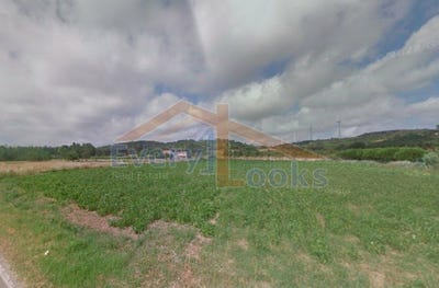 /international/pt/peniche-leiria-310102725004/