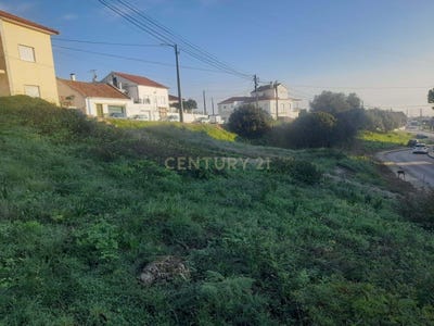 /international/pt/rua-principal-lourinha-lisbon-310103635809/