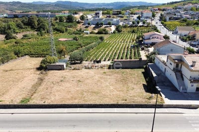 /international/pt/alijo-vila-real-310104040292/