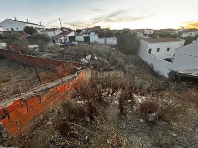 /international/pt/rua-da-guine-24-safara-portugal-safara-beja-310105188304/