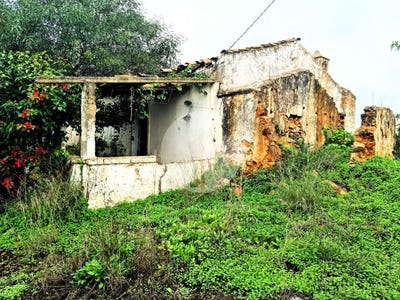 /international/pt/quelfes-faro-310105518253/