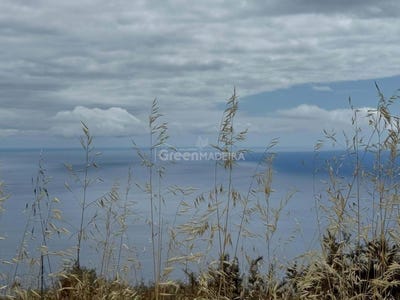 /international/pt/faja-da-ovelha-madeira-310100741958/