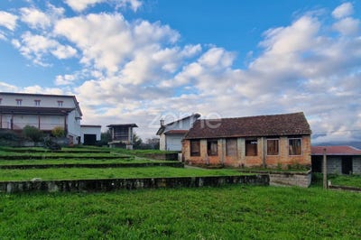 /international/pt/oliveira-de-frades-viseu-310105745010/