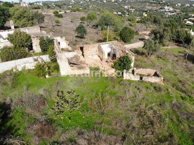 /international/pt/loule-faro-310103997402/