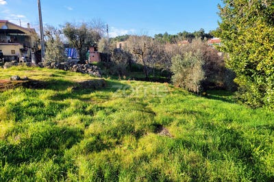 /international/pt/viseu-viseu-310097320290/