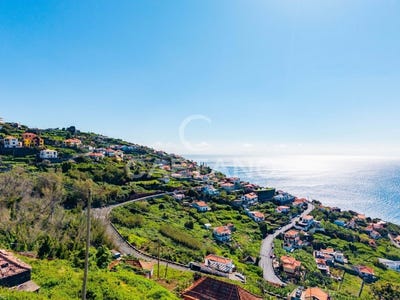 /international/pt/ribeira-brava-madeira-310108402520/