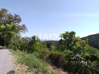 /international/pt/barranco-silvestre-monchique-faro-310105719102/