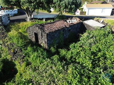 /international/pt/madalena-madeira-120086461708/