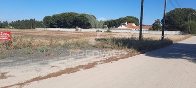 /international/pt/foros-de-salvaterra-salvaterra-de-magos-santarem-120087940395/