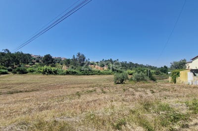/international/pt/soure-coimbra-310101225712/