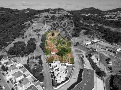 /international/pt/venda-do-pinheiro-e-santo-estevao-das-gales-lisbon-310105240524/