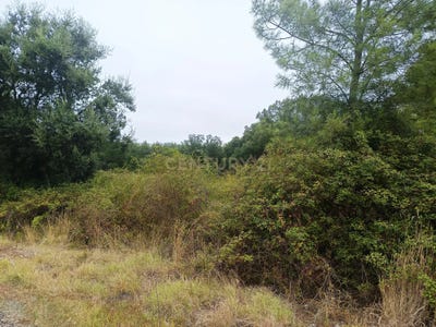 /international/pt/barca-nova-sao-pedro-de-tomar-santarem-310109200500/?lang=fr