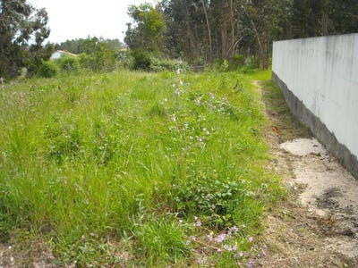 /international/pt/figueira-da-foz-braganca-310103487067/