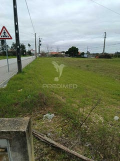/international/pt/salvaterra-de-magos-e-foros-de-salvaterra-salvaterra-de-magos-santarem-310106411152/