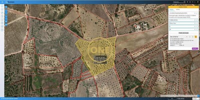 /international/pt/olaia-santarem-310108209637/