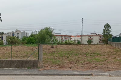 /international/pt/cantanhede-coimbra-120093091100/?lang=zh-cn