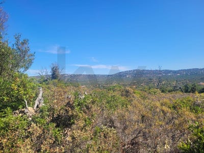 /international/pt/loule-faro-310102240628/