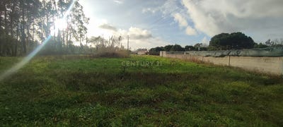 /international/pt/rua-do-olheirao-moita-marinha-grande-portugal-moita-aveiro-310108834873/