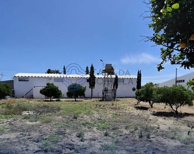 /international/pt/palmela-setubal-municipality-310106442699/