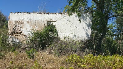 /international/pt/silves-faro-310107216489/