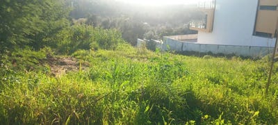 /international/pt/coimbra-lisbon-310101353304/?lang=fr