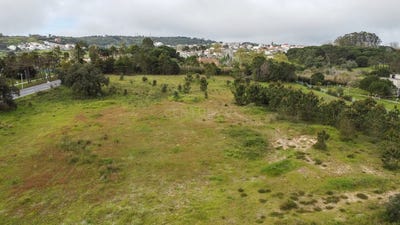 /international/pt/a-dos-cunhados-e-maceira-lisbon-310098444344/