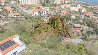 /international/pt/canico-madeira-310106606193/
