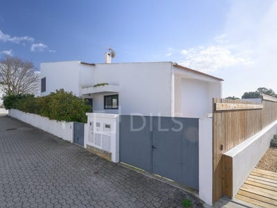 /international/pt/comporta-setubal-municipality-310105966578/