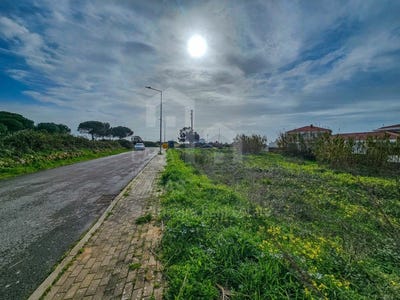 /international/pt/ericeira-lisbon-310106711036/