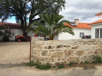 /international/pt/barbeita-mono-leiria-310105025449/