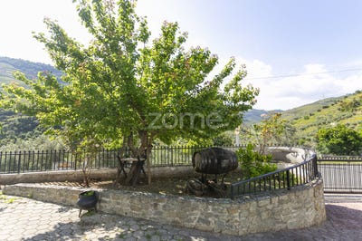 /international/pt/peso-da-regua-vila-real-310104523695/?lang=it