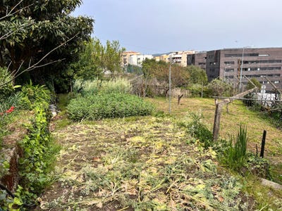 /international/pt/rua-de-santa-iria-vila-real-nossa-senhora-da-conceio-vila-real-district-310107968727/