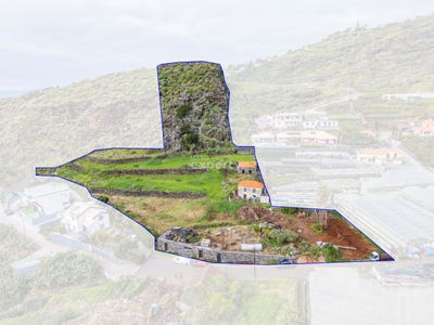 /international/pt/ilha-da-madeira-madeira-310106164014/