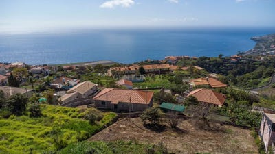 /international/pt/ilha-da-madeira-madeira-310097566222/