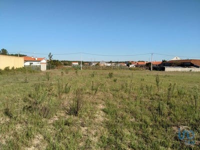 /international/pt/leiria-leiria-310099464971/?lang=zh-tw