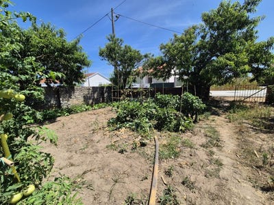 /international/pt/paiao-coimbra-310102835399/