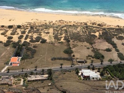 /international/pt/porto-santo-island-madeira-310108429557/