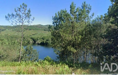 /international/pt/viana-do-castelo-viana-do-castelo-310100295060/