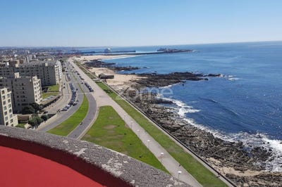 /international/pt/matosinhos-aveiro-120060879792/