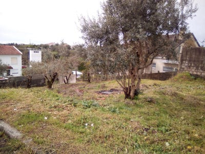 /international/pt/tomar-sao-joao-baptista-e-santa-maria-dos-olivai-setubal-municipality-310094782553/